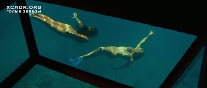 Полностью Голые Келли Брук И Райли Стил Под Водой – Пираньи 3d (2010)